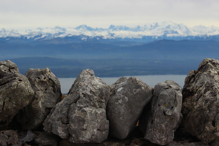 Randonnée pédestre : le Fleutron la Dole_Divonne-les-Bains