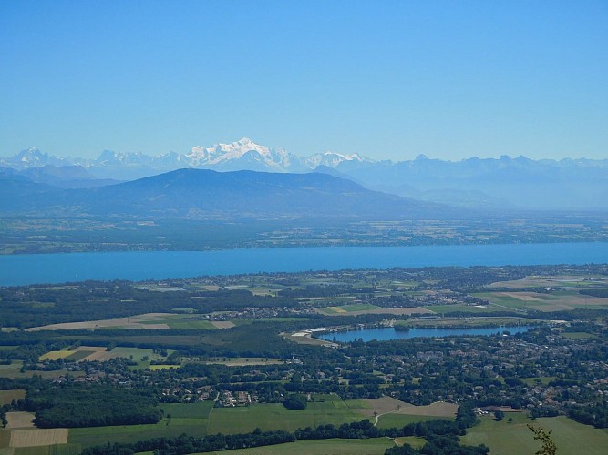 Vue sur le Mont Blanc depuis la Dôle