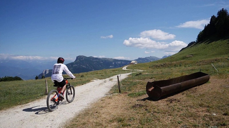 La Plaine de Lans - MTBe route no 71 - Green