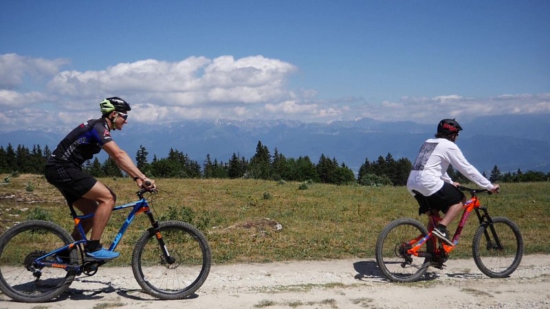 La Plaine de Lans - Circuit VTT n°71 - Vert