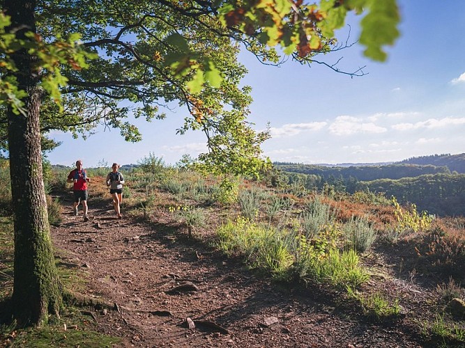 Trail à La Roche d'Oëtre, Suisse Normande