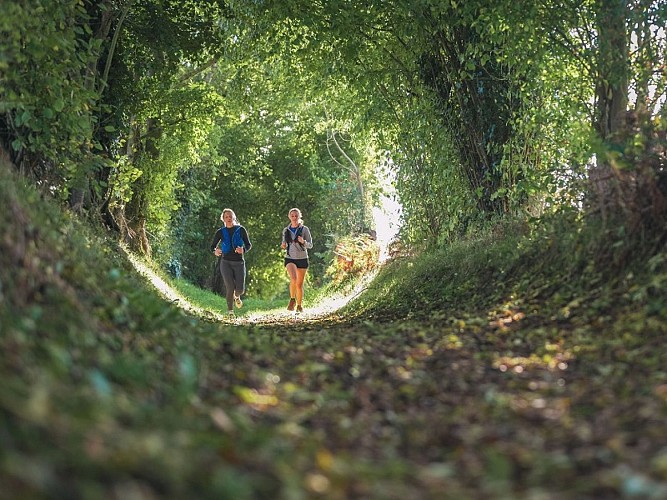 Trail en Suisse Normande