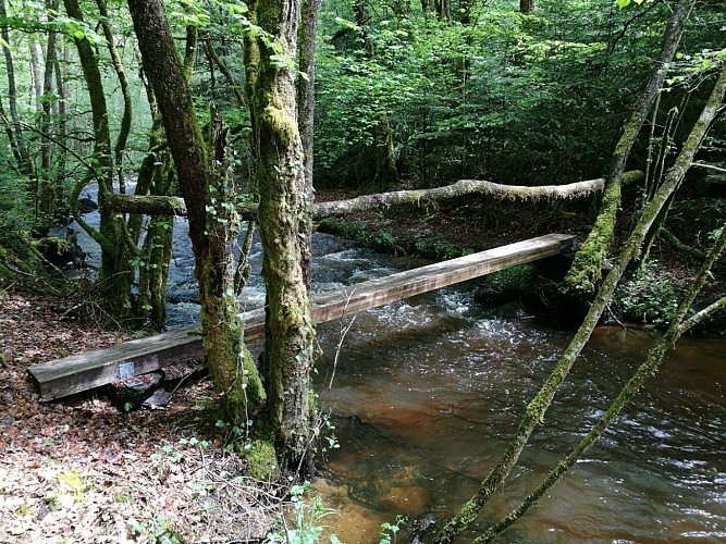 Sentier de la Roche Branlante