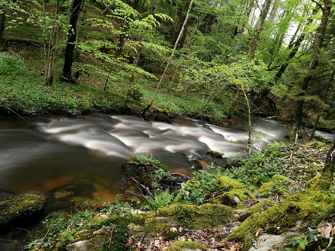 Sentier de la Roche Branlante