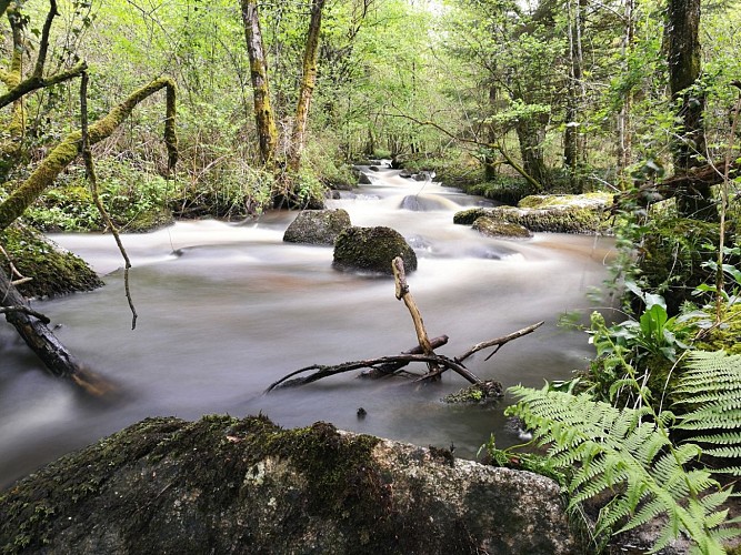 Sentier de la Roche Branlante