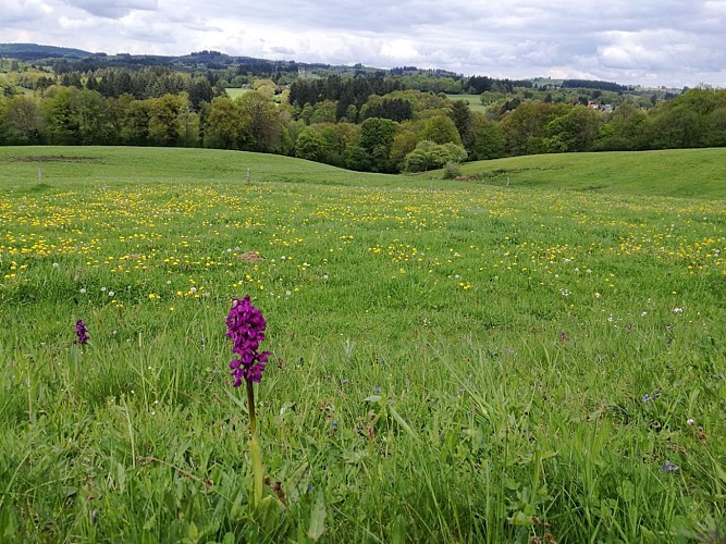 Sentier de la Roche Branlante