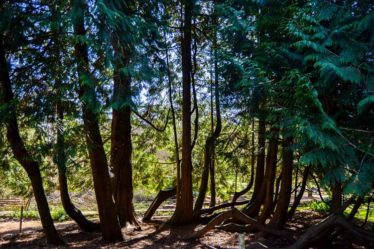 Sentier des Monts &amp; Vallées - Nanteuil-en-Vallée