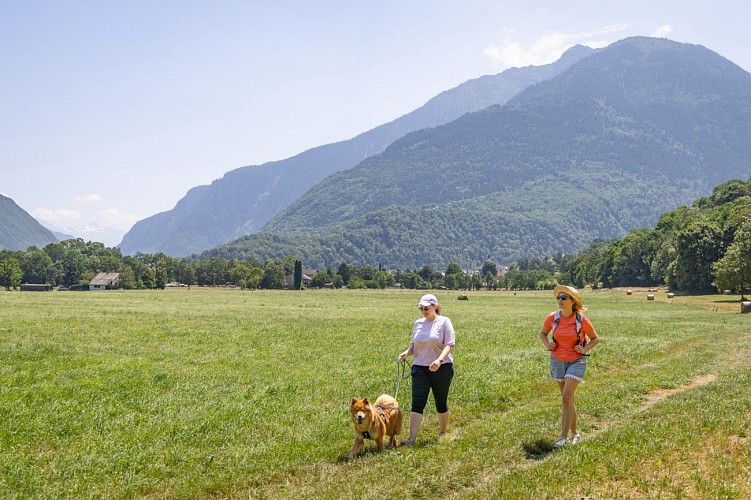 Bial circuit_Saint-Etienne-de-Cuines