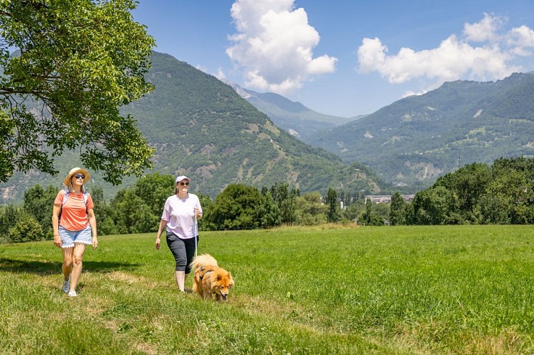 Bial circuit_Saint-Etienne-de-Cuines