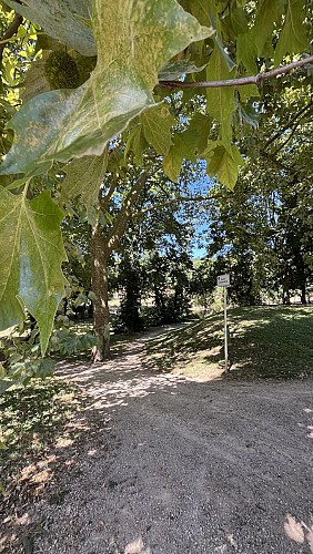 Parc de l'ancien château de Sennecé