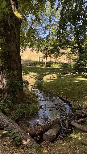 Parc de l'ancien château de Sennecé-lès-Mâcon