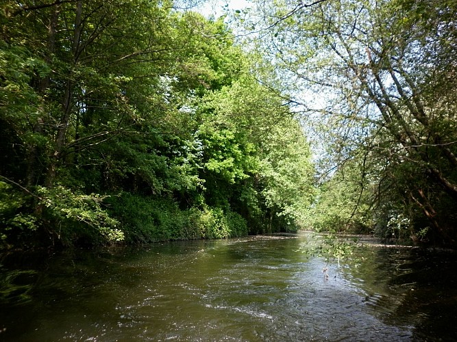 Par l'étang de Bétineuc