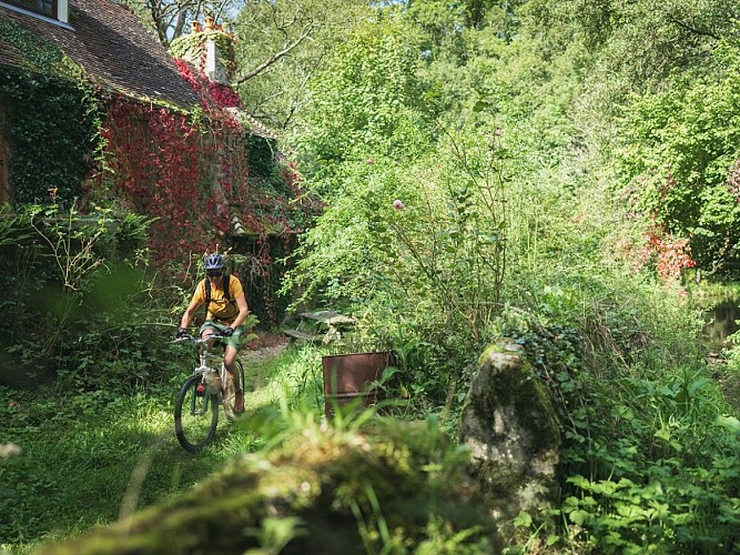 VTT dans les Gorges de Saint-Aubert en Suisse Normande