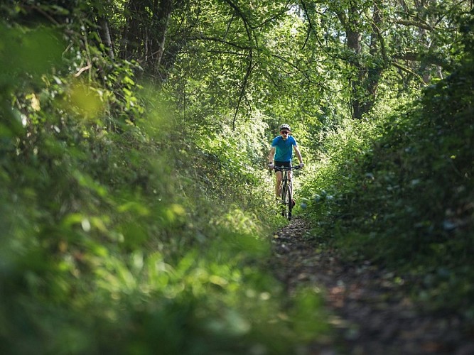 VTT en Suisse Normande 