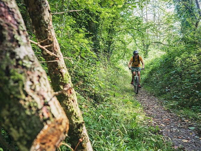 Trail-VTT©Le7emeStudio (50)