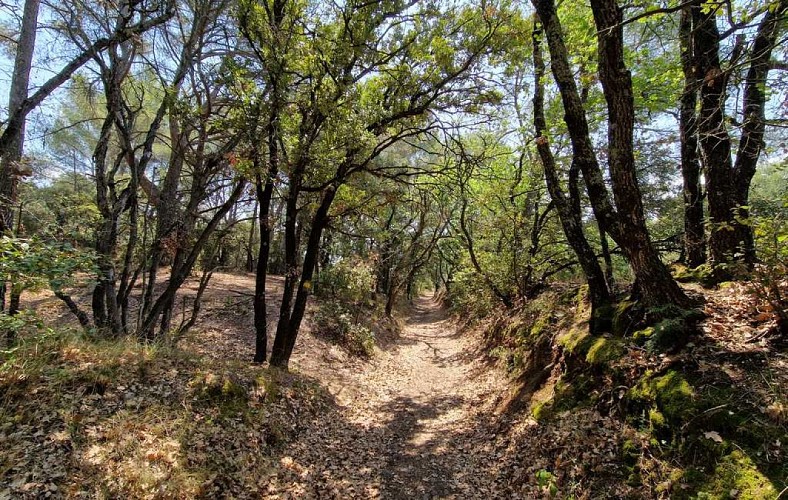 circuit_camins de Tourbes