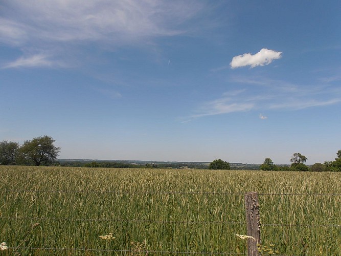 Voie dite romaine et bois de Regheat