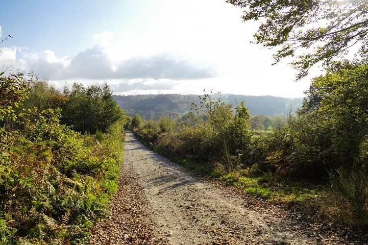 La vallée de Lacot_Saint-Hilaire