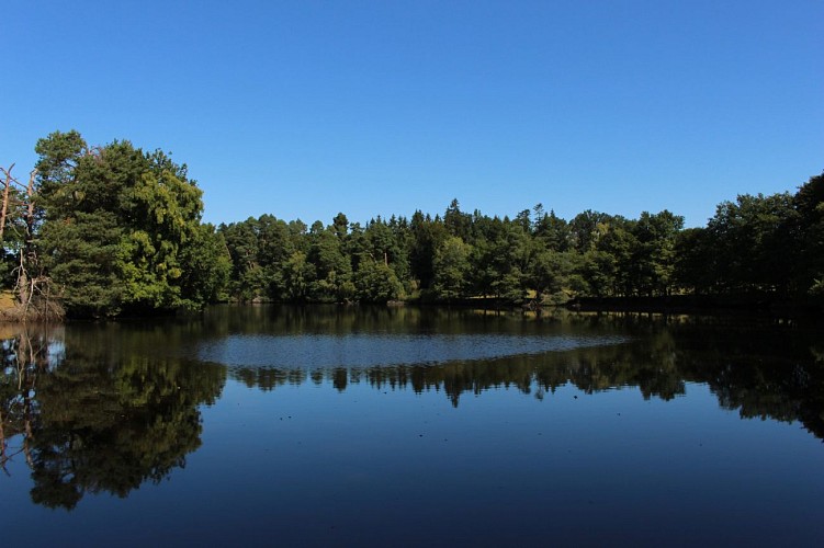 L'étang de Gasserot_Saint-Avit