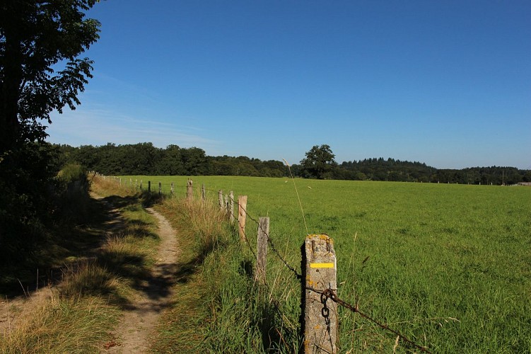 L'étang de Gasserot_Saint-Avit