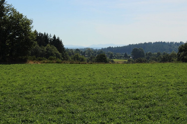 L'étang de Gasserot_Saint-Avit
