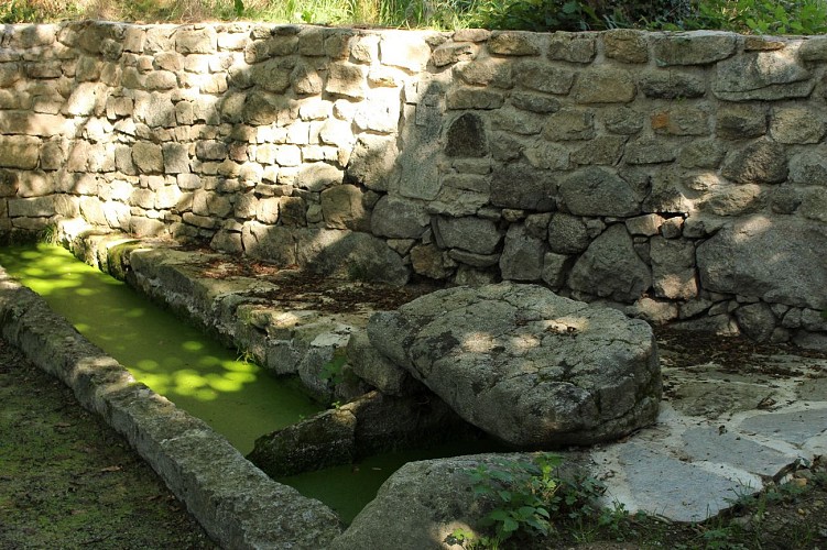 L'étang de Gasserot_Saint-Avit