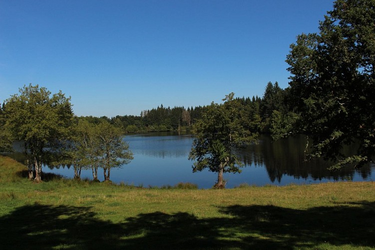 L'étang de Gasserot_Saint-Avit
