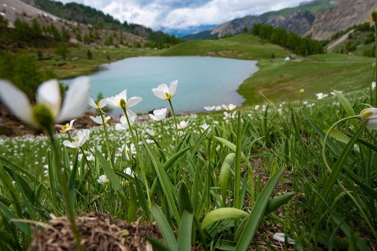 Le lac du Lauzet
