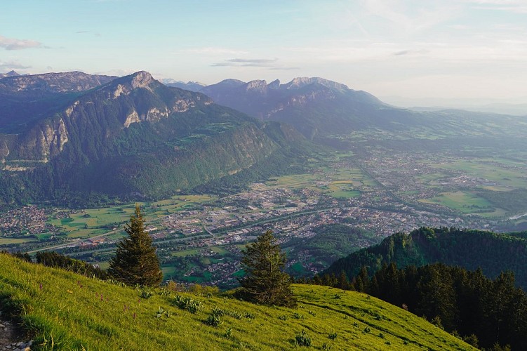Hiking trail - Le Petit Môle from Chez Béroud_Saint-Jean-de-Tholome
