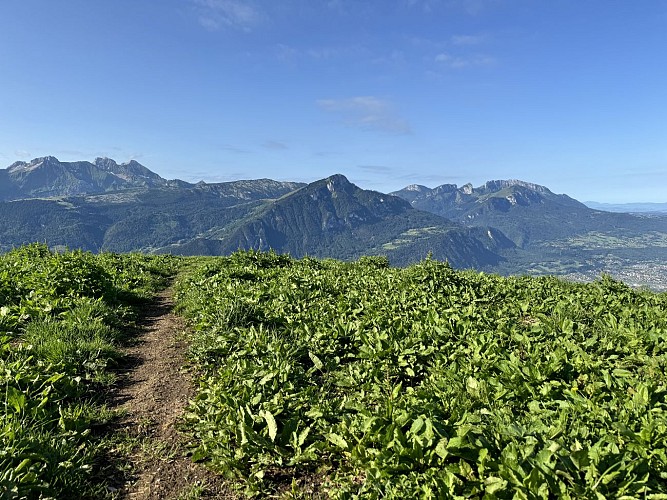 Sentier de randonnée - Le Petit Môle depuis Chez Béroud_Saint-Jean-de-Tholome
