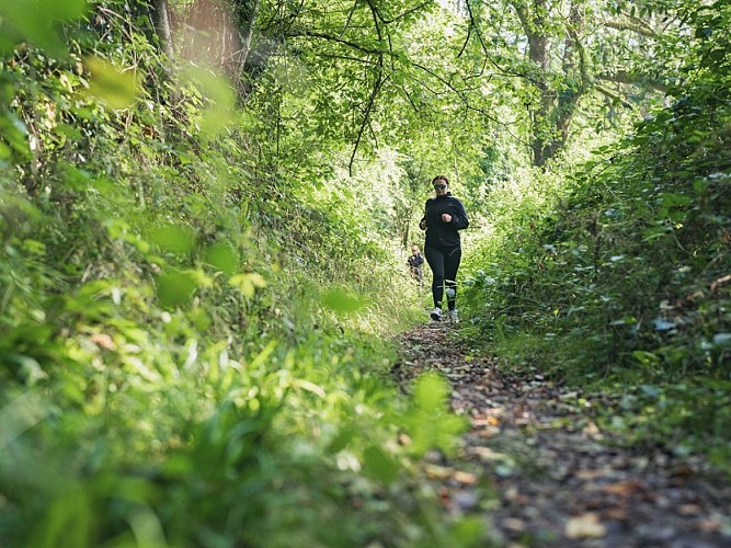 Trail en Suisse Normande