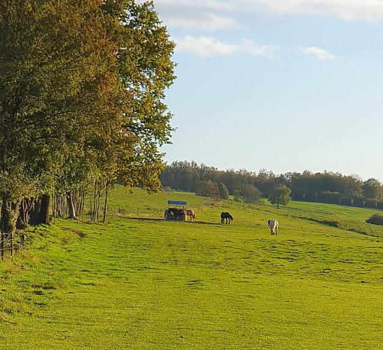 Chemin fortes terres