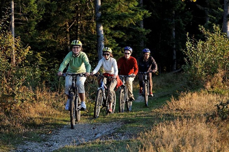 Circuit VTT des Moises