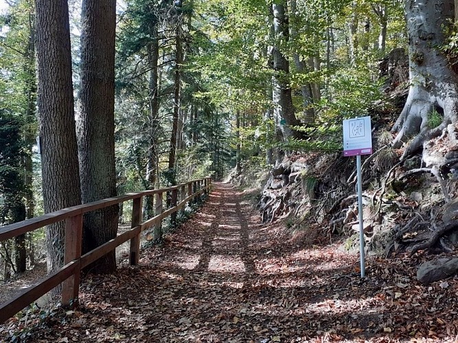 tronçon de la la Promenade circulaire