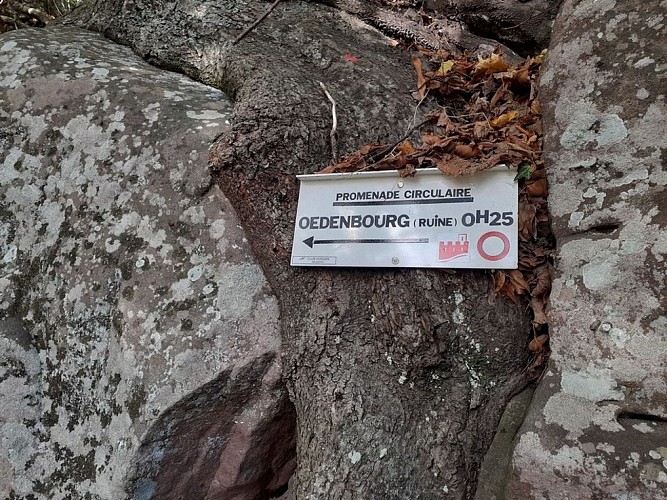 Panonceau promenade circulaire