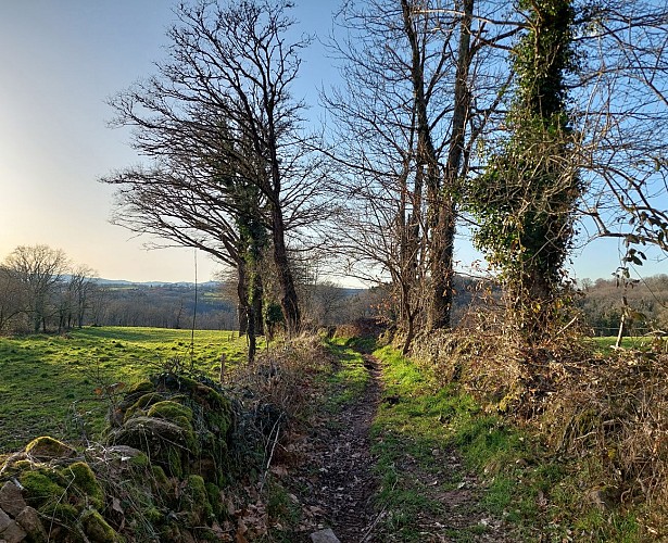 CheminrandonnéeChampsanglard2025©CCPCM