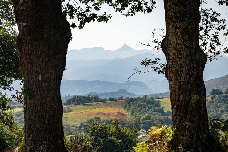 03 San_Antoni_Handia_Jonathan Cathala (3)