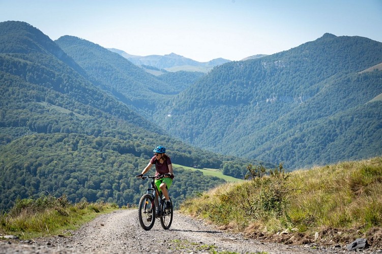 03 San_Antoni_Ttipia