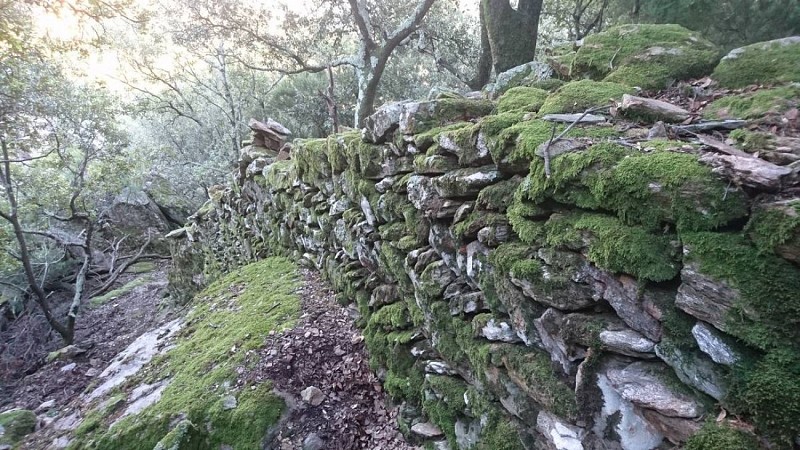 olargues-le-vieux-03