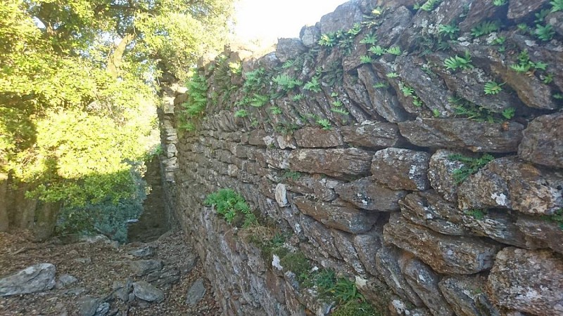 olargues-le-vieux-02