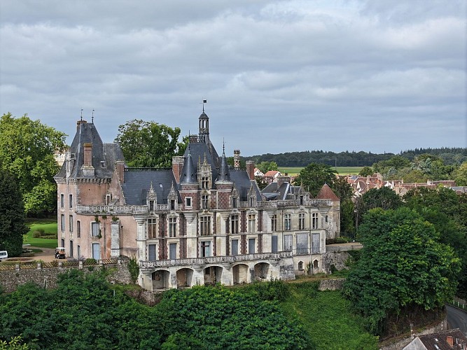 Le Château de Montigny-Le-Gannelon