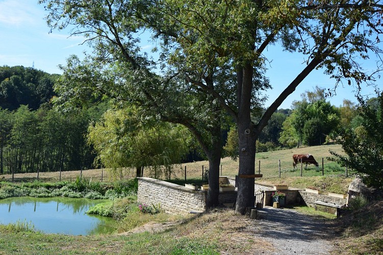 Lavoir Levy