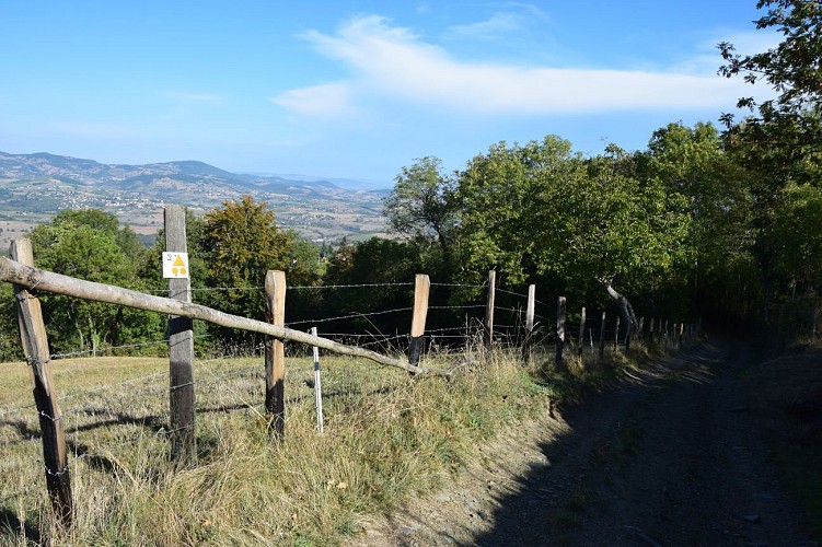 Chemin de rando vers Lafont