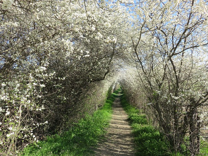 Circuit de Chavagneux_Beauvallon