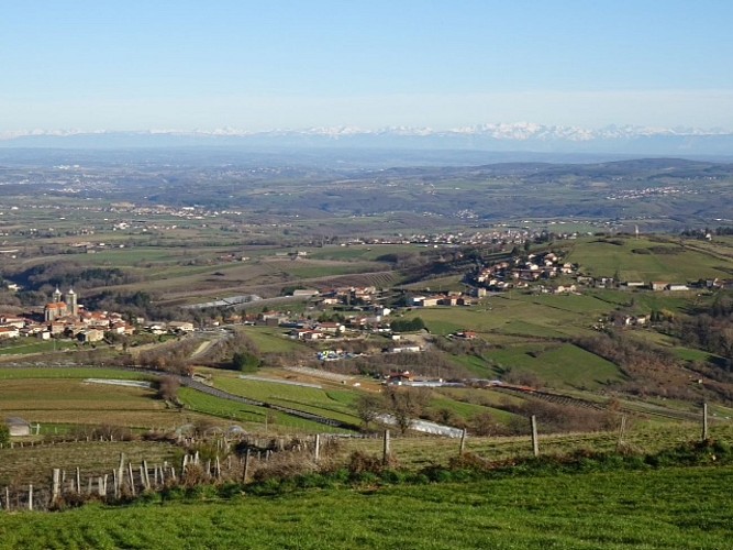 Circuit de l'Aqueduc de Jurieux - Saint Didier sous Riverie_Chabanière
