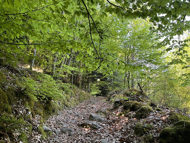 Sentier découverte de l'aqueduc romain de la Brévenne_Aveize