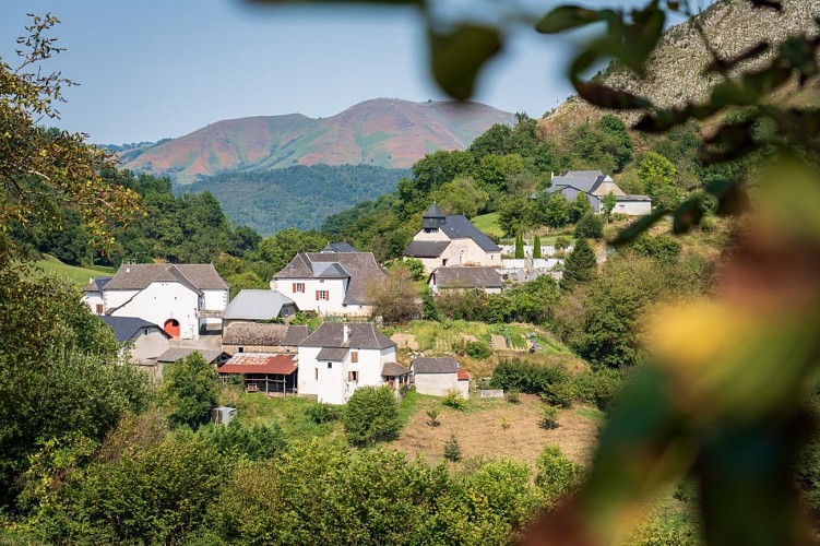 11_Zünharre_Jonathan Cathala (4)