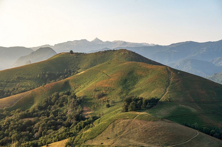 13 Maidalena_Jonathan Cathala (2)