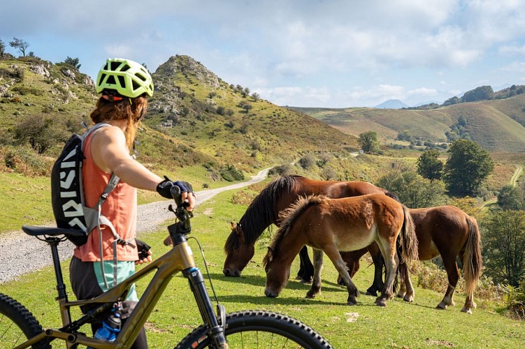 14 - VTT - PAYS BASQUE - Xiberoa - JONATHAN CATHALA-4