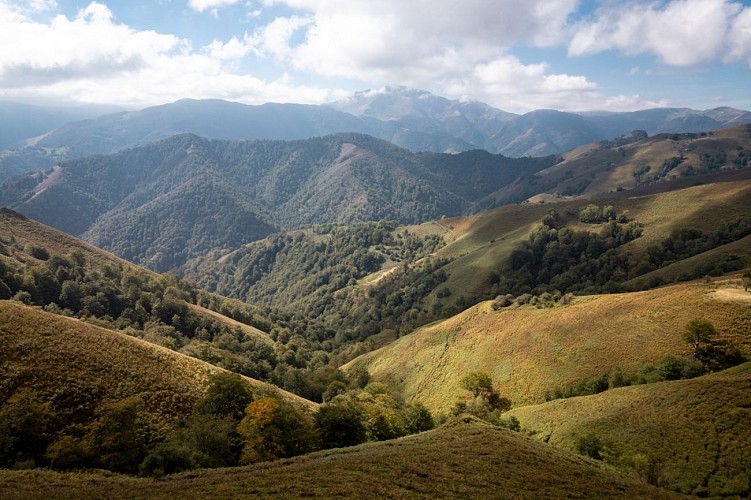 14 - VTT - PAYS BASQUE - Xiberoa - JONATHAN CATHALA-10
